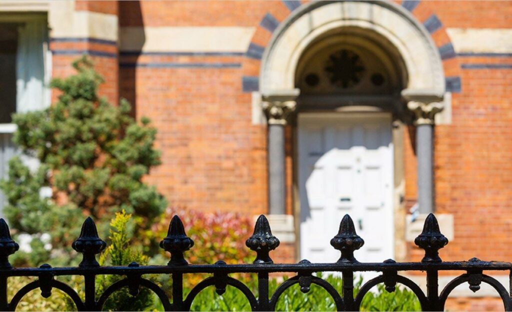Cozy living room with a gray sofa, wooden coffee table, and decorative plants